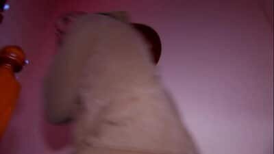 Allya Hardcore Amateur Scene