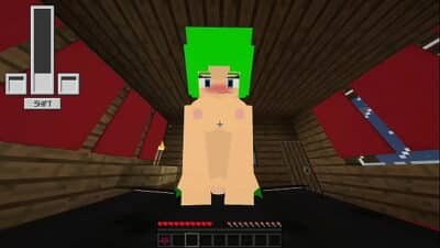 Minecraft jenny mod custom models